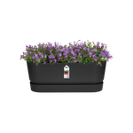 greenville pflanzgefäß lang 50cm living schwarz